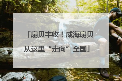 扇贝丰收！威海扇贝从这里“走向”全国