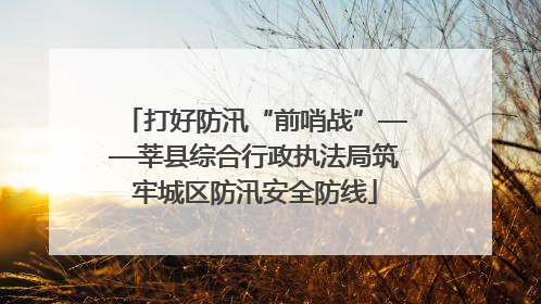 打好防汛“前哨战”——莘县综合行政执法局筑牢城区防汛安全防线