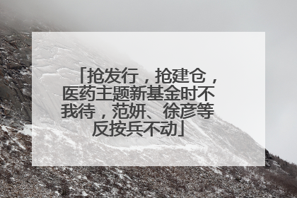 抢发行，抢建仓，医药主题新基金时不我待，范妍、徐彦等反按兵不动