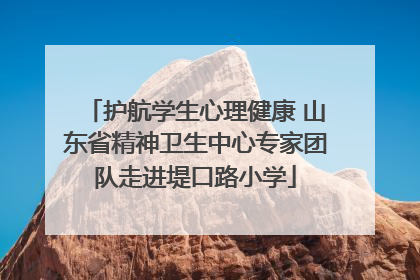 护航学生心理健康 山东省精神卫生中心专家团队走进堤口路小学