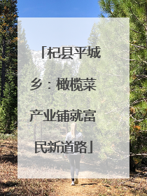 杞县平城乡：橄榄菜产业铺就富民新道路