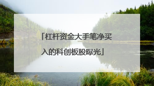 杠杆资金大手笔净买入的科创板股曝光