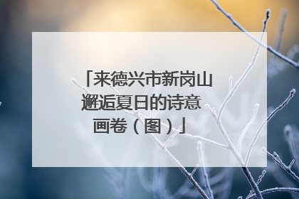 来德兴市新岗山 邂逅夏日的诗意画卷（图）