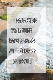 杨东奇来我市调研 杨国强陈必昌田和友分别参加
