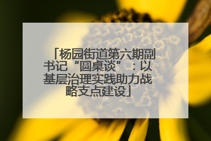 杨园街道第六期副书记“圆桌谈”：以基层治理实践助力战略支点建设