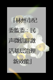 林州市纪委监委：民声微信群激活基层治理新效能