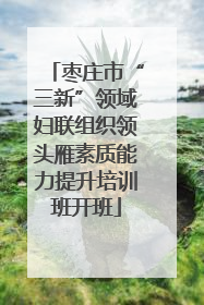枣庄市“三新”领域妇联组织领头雁素质能力提升培训班开班