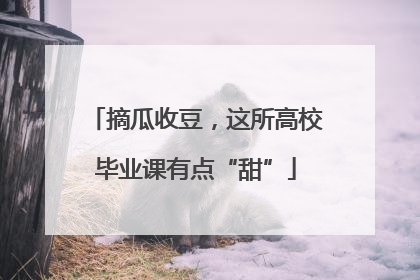 摘瓜收豆，这所高校毕业课有点“甜”
