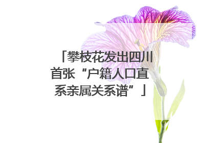 攀枝花发出四川首张“户籍人口直系亲属关系谱”