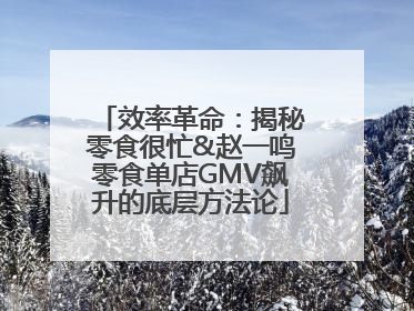 效率革命：揭秘零食很忙&赵一鸣零食单店GMV飙升的底层方法论