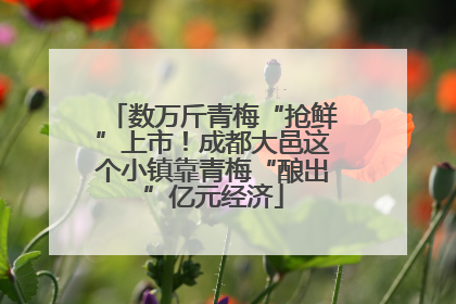 数万斤青梅“抢鲜”上市！成都大邑这个小镇靠青梅“酿出”亿元经济