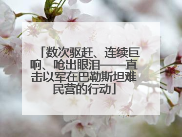 数次驱赶、连续巨响、呛出眼泪——直击以军在巴勒斯坦难民营的行动