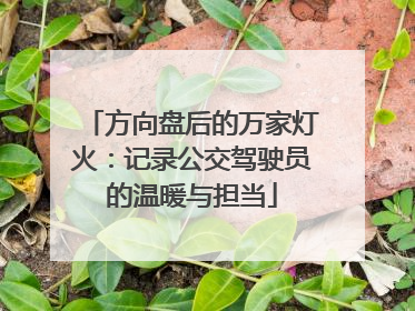 方向盘后的万家灯火：记录公交驾驶员的温暖与担当