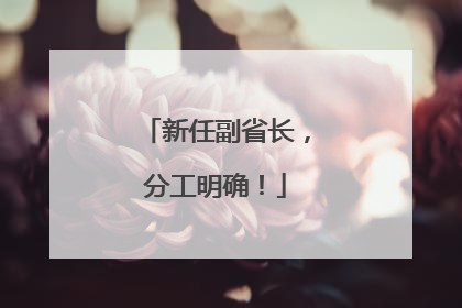 新任副省长，分工明确！