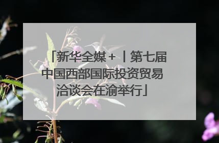 新华全媒＋丨第七届中国西部国际投资贸易洽谈会在渝举行