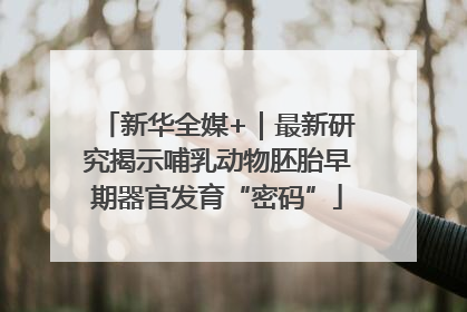 新华全媒+｜最新研究揭示哺乳动物胚胎早期器官发育“密码”