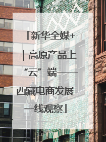 新华全媒+｜高原产品上“云”端——西藏电商发展一线观察