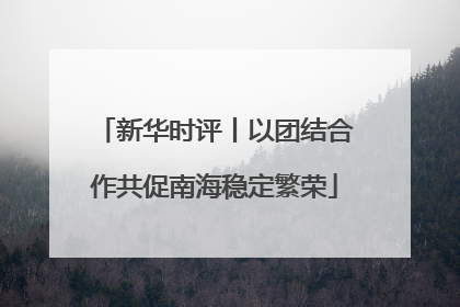 新华时评丨以团结合作共促南海稳定繁荣