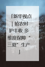 新华视点｜抢农时 护丰收 多维度保障“三夏”生产