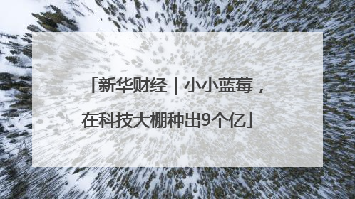 新华财经｜小小蓝莓，在科技大棚种出9个亿