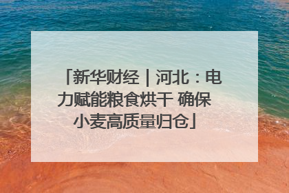 新华财经｜河北：电力赋能粮食烘干 确保小麦高质量归仓