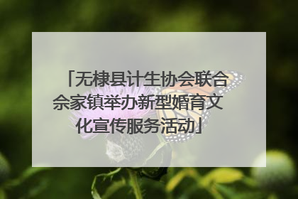 无棣县计生协会联合佘家镇举办新型婚育文化宣传服务活动