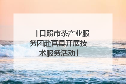 日照市茶产业服务团赴莒县开展技术服务活动
