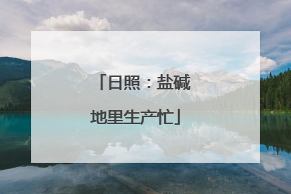 日照：盐碱地里生产忙