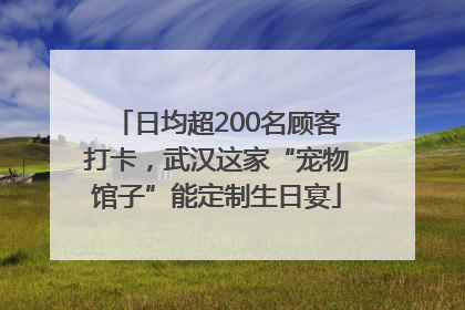 日均超200名顾客打卡，武汉这家“宠物馆子”能定制生日宴