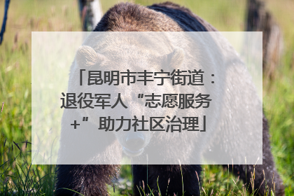 昆明市丰宁街道：退役军人“志愿服务+”助力社区治理