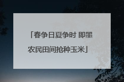 春争日夏争时 即墨农民田间抢种玉米