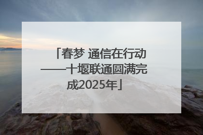 春梦 通信在行动——十堰联通圆满完成2025年