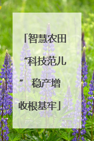 智慧农田“科技范儿” 稳产增收根基牢