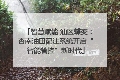 智慧赋能 油区蝶变：杏南油田配注系统开启“智能管控”新时代