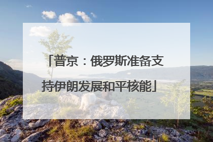 普京：俄罗斯准备支持伊朗发展和平核能