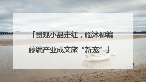 景观小品走红，临沭柳编藤编产业成文旅“新宠”