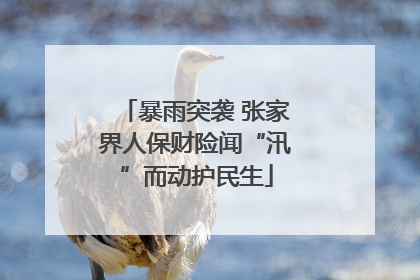 暴雨突袭 张家界人保财险闻“汛”而动护民生