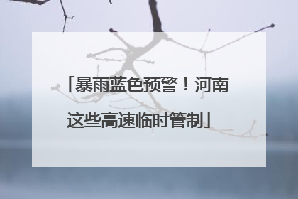 暴雨蓝色预警！河南这些高速临时管制