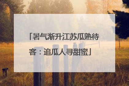 暑气渐升江苏瓜熟待客：追瓜人寻甜蜜