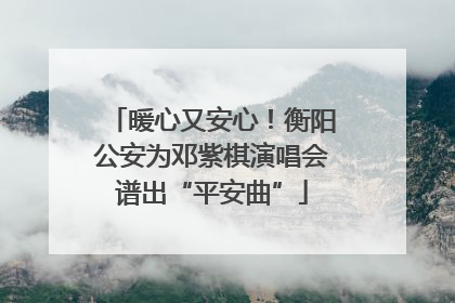 暖心又安心！衡阳公安为邓紫棋演唱会谱出“平安曲”
