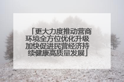 更大力度推动营商环境全方位优化升级加快促进民营经济持续健康高质量发展