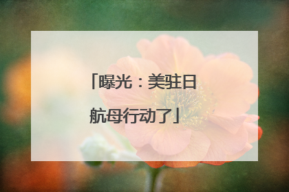 曝光：美驻日航母行动了