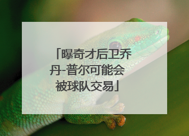 曝奇才后卫乔丹-普尔可能会被球队交易