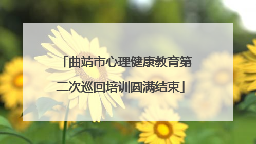 曲靖市心理健康教育第二次巡回培训圆满结束