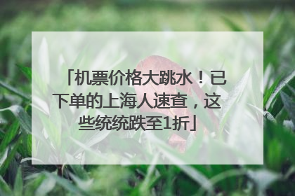机票价格大跳水！已下单的上海人速查，这些统统跌至1折