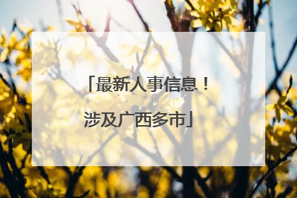 最新人事信息！涉及广西多市