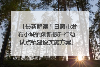 最新解读！日照市发布小城镇创新提升行动试点镇建设实施方案