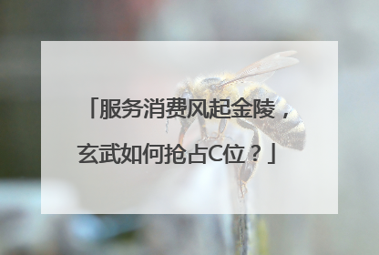 服务消费风起金陵，玄武如何抢占C位？