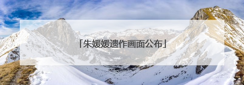 朱媛媛遗作画面公布