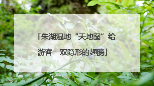 朱湖湿地“天地图”给游客一双隐形的翅膀